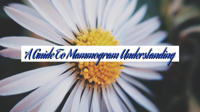 A Guide to Mammogram Understanding