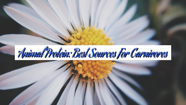 Animal Protein: Best Sources for Carnivores