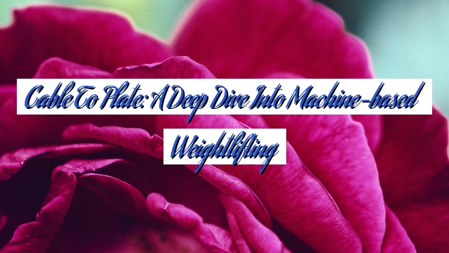 Cable to Plate: A Deep Dive into Machine-based Weightlifting