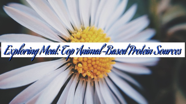 Exploring Meat: Top Animal-Based Protein Sources