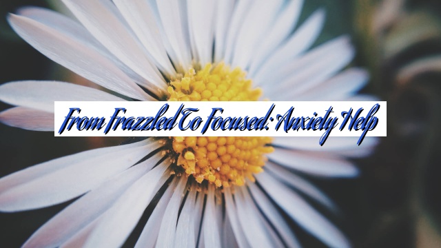 From Frazzled to Focused: Anxiety Help