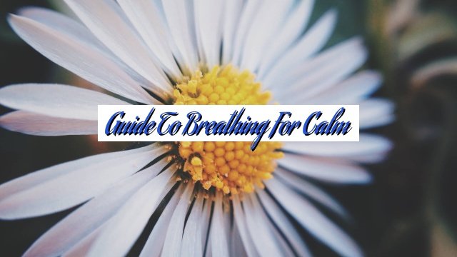 Guide to Breathing for Calm