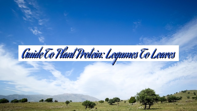 Guide to Plant Protein: Legumes to Leaves