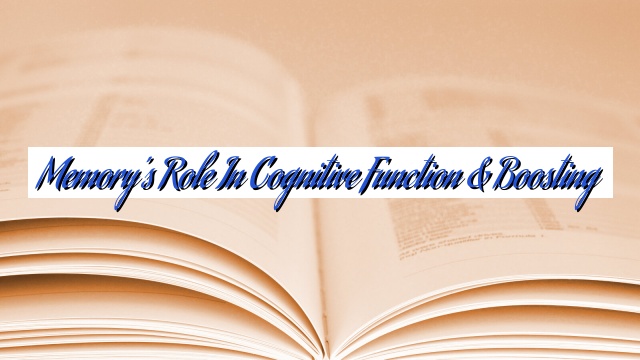 Memory’s Role in Cognitive Function & Boosting