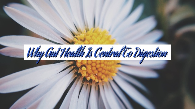 Why Gut Health is Central to Digestion
